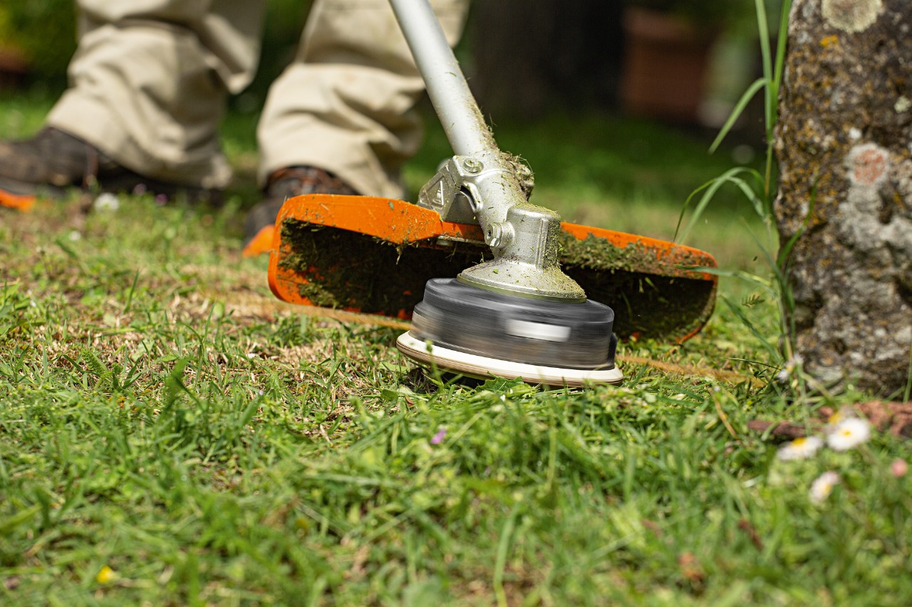 Una persona corta alrededor de un árbol con la desbrozadora STIHL FS 240