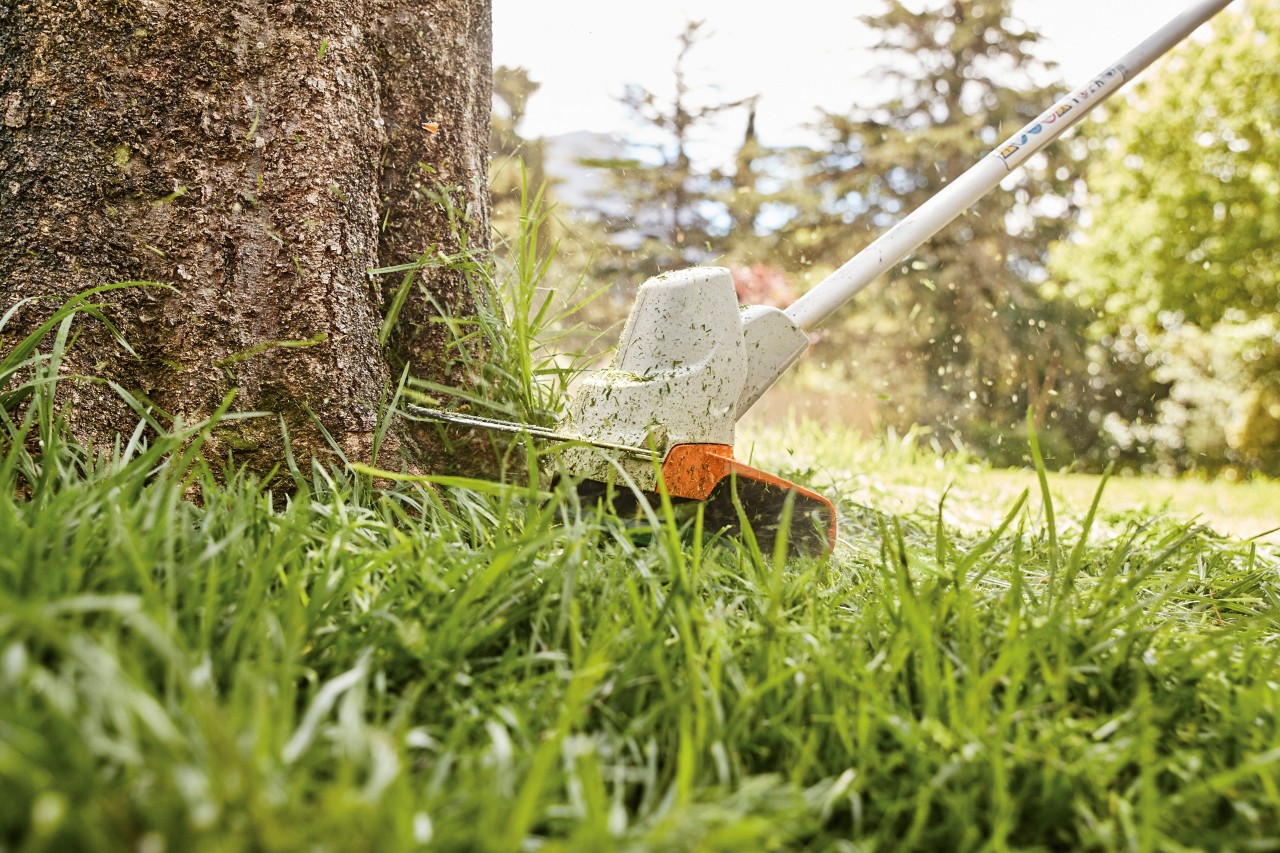 Cortar los bordes del césped alrededor de un árbol con la desbrozadora de batería STIHL FS 57