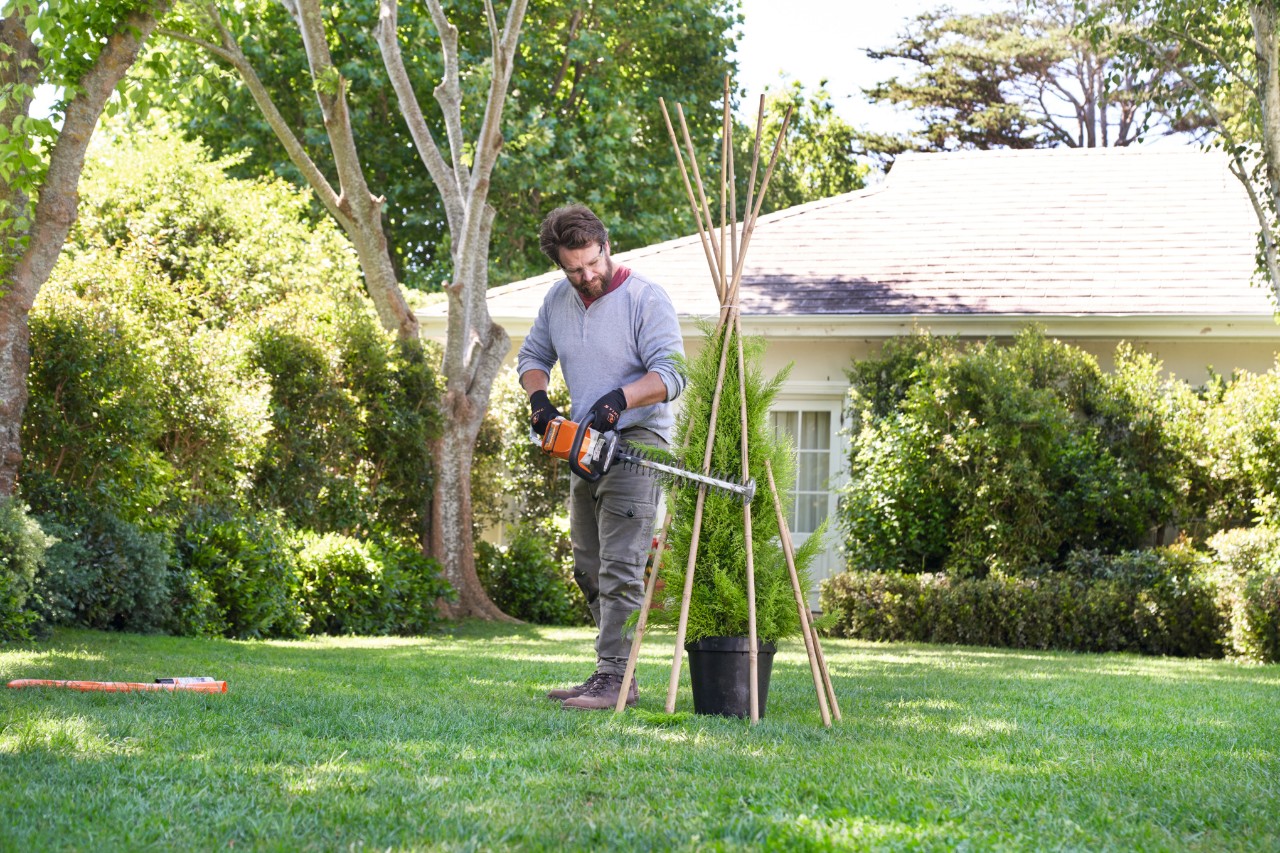 Un hombre corta todas las ramas que sobresalen de la estructura de bambú con una tijera para setos de batería STIHL