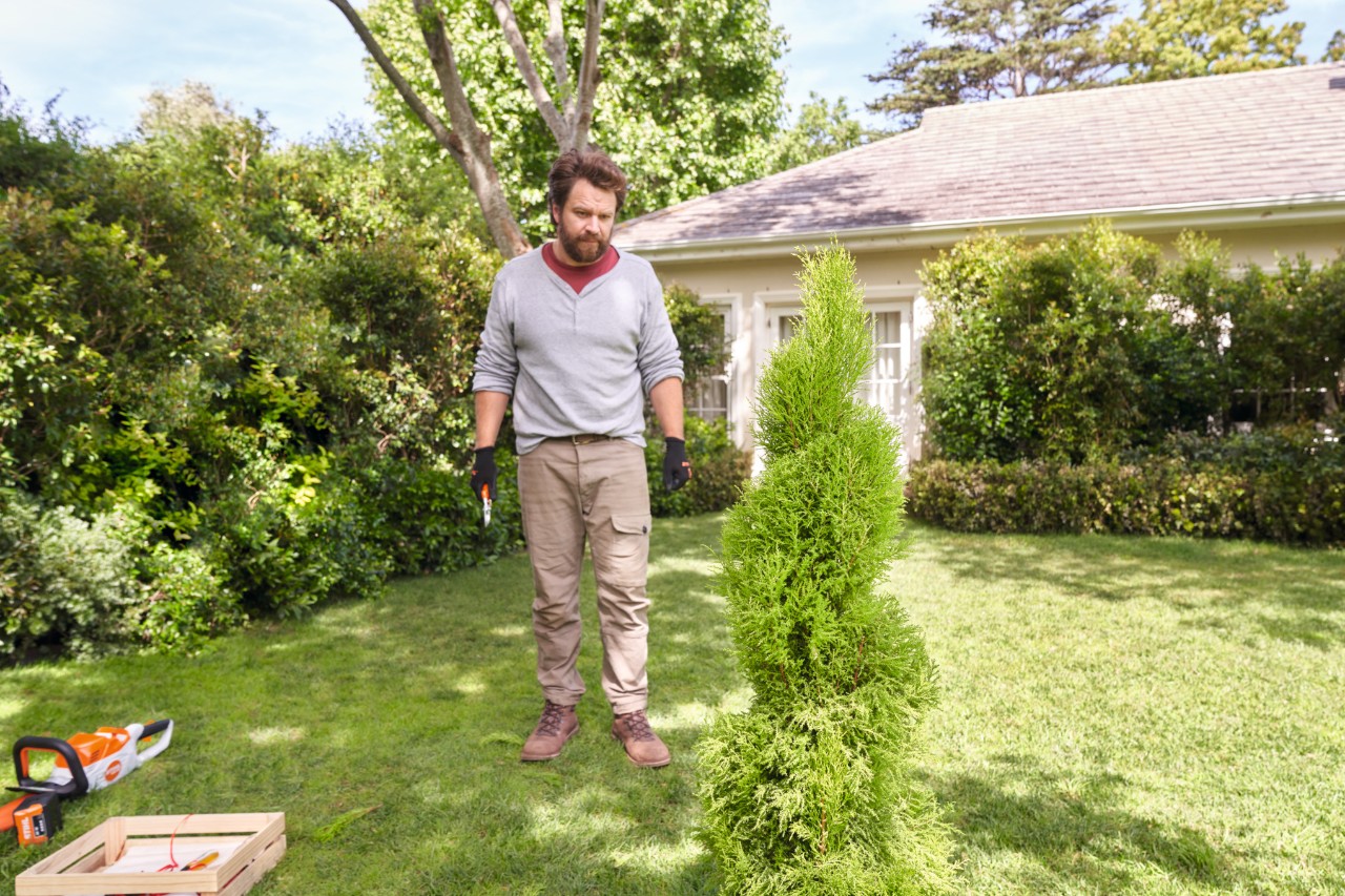 Un hombre observa la planta cortada en espiral desde una distancia de unos pasos