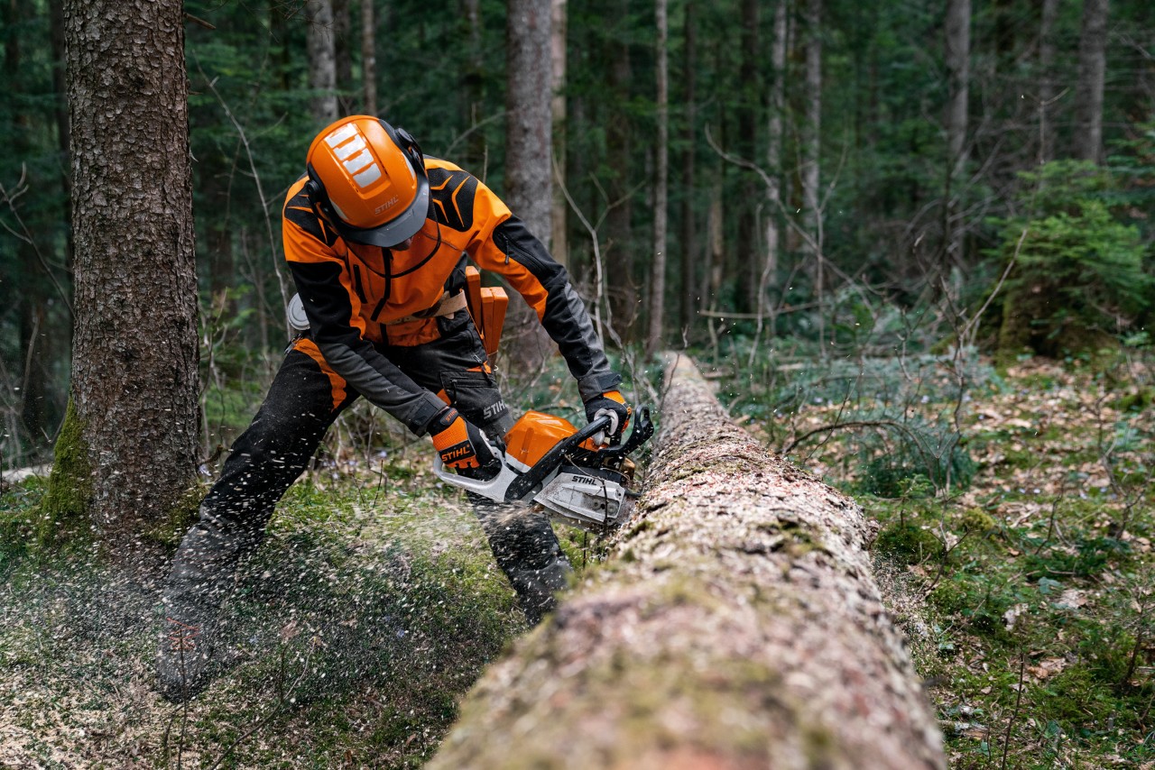 Un hombre con equipo de protección corta un tronco caído con una motosierra a gasolina STIHL MS 400 C-M con pistón de magnesio
