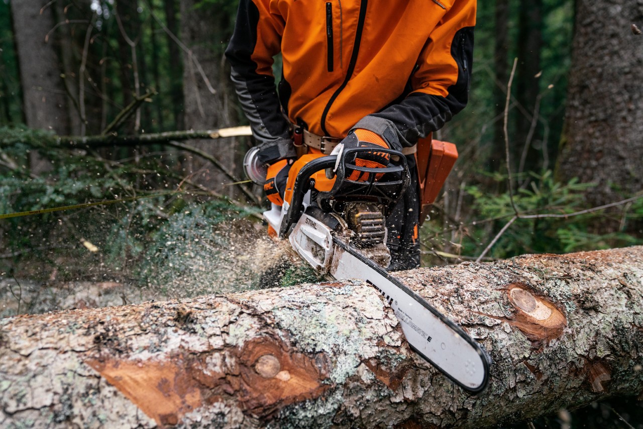 Una motosierra de gasolina STIHL MS 400 C-M con pistón de magnesio cortando un tronco de un árbol caído en el suelo.